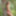 Cute brunette Maxa posing nude in the forest #8