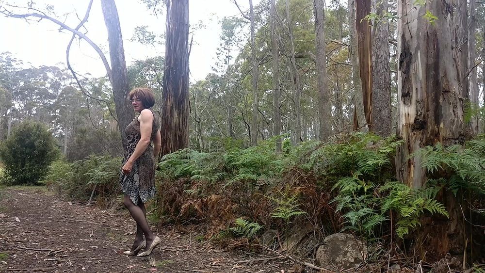 Crossdress Road trip leopard Print dress #3