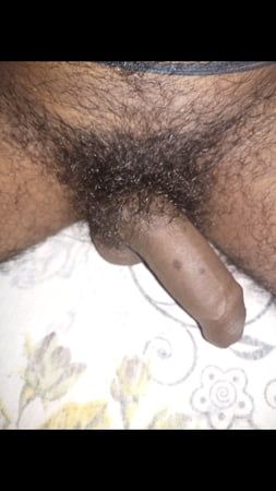Hairy penis