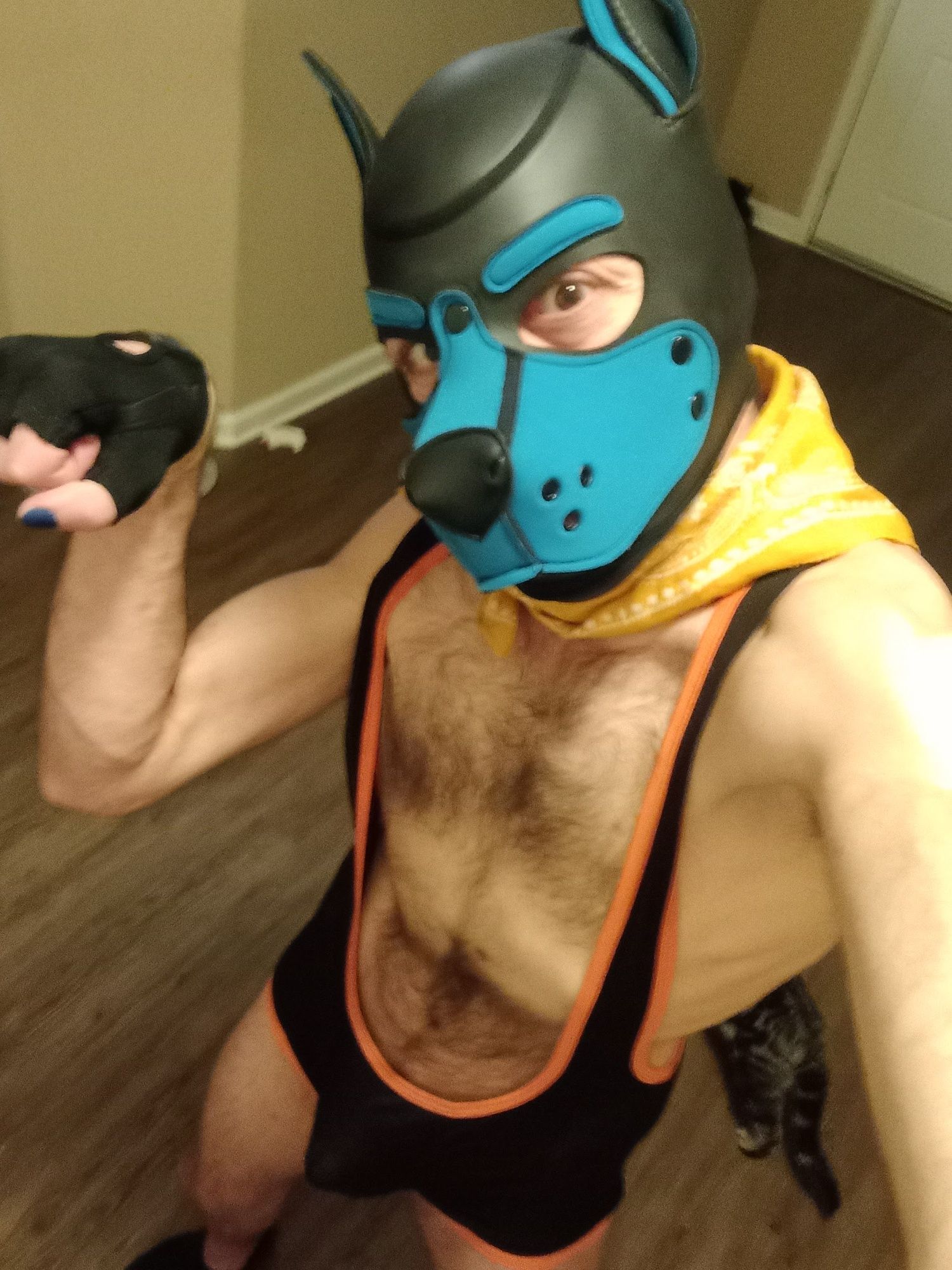 Puppers Showing off in underwear...again #26