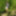 Walking bare-assed through the spring forest #17