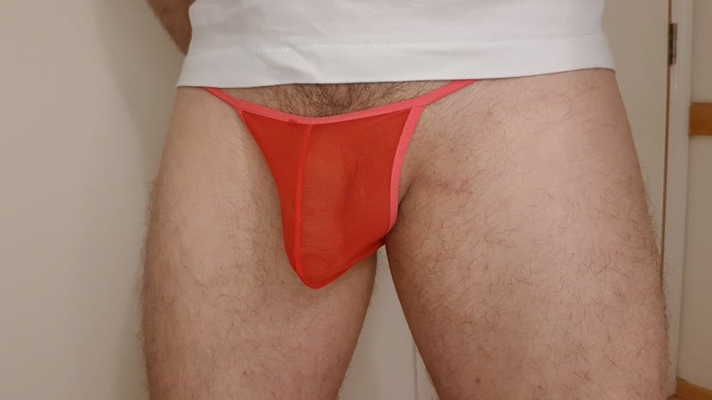 Red sheer mesh panties bulge #8