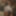 Freddy Burd  Free Photos