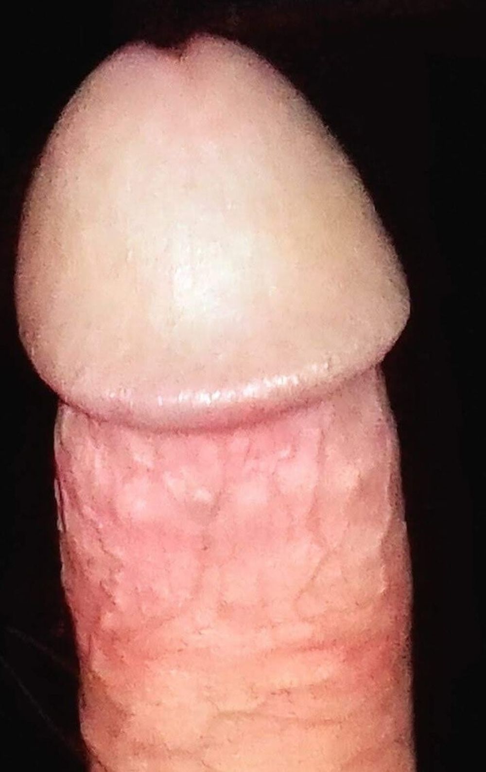 Yummy Cock #6