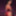 Stripper Mulan 1 