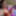 Christmas pics 2019 #7