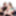 Horny Plumpers Lady Lynn and Bella Bendz #2
