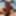 Cock Pictures #9 cant stop jerking!