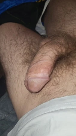 Cock