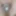 Daily duty of the naked slave April 3rd, 2024 #4