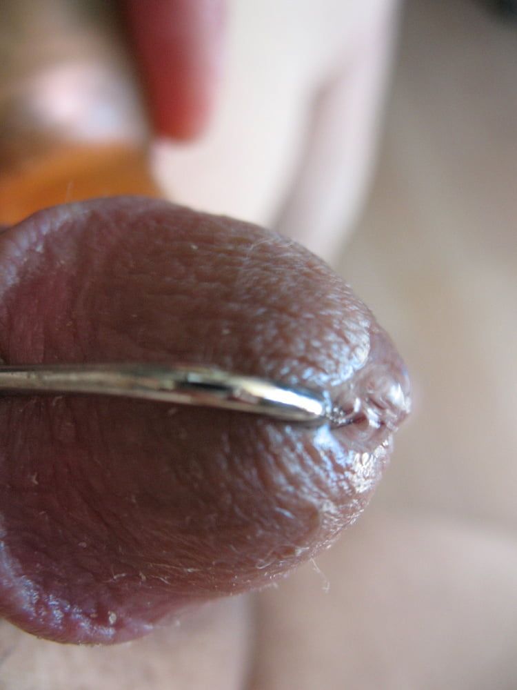 More steel in my cock with glans ring #22