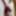 Miscellaneous  #25
