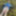 Cover up, reveal #48