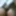 Pussy growing hair gallery 