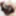 Saori Miyazawa :: BOGA x BOGA: Praises Me - CARIBBEANCOM #4