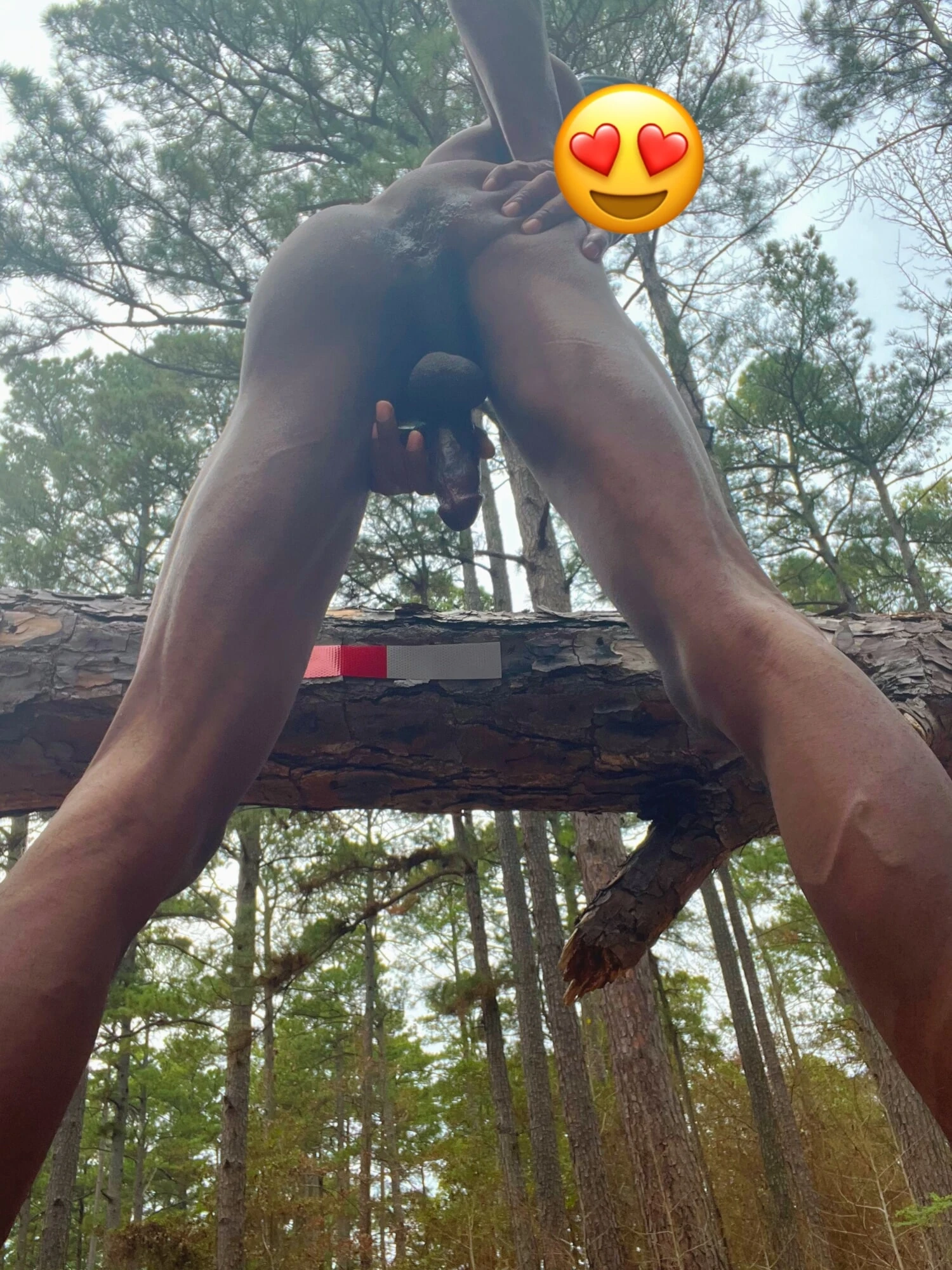 Public trails 