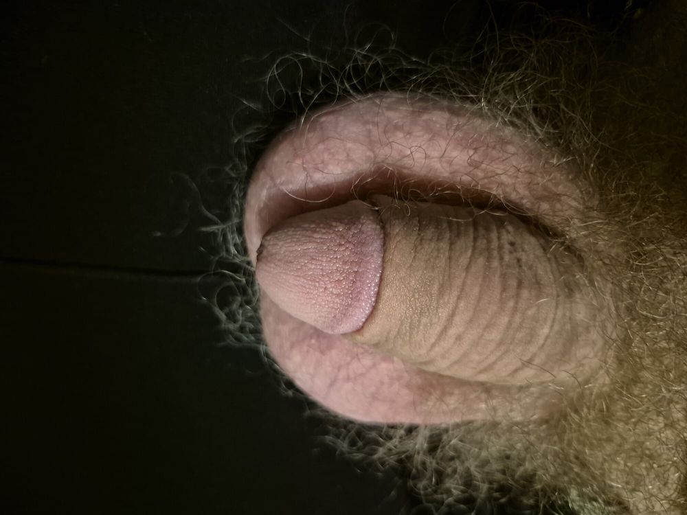 Flaccid and hairy cock #18