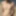 Torso