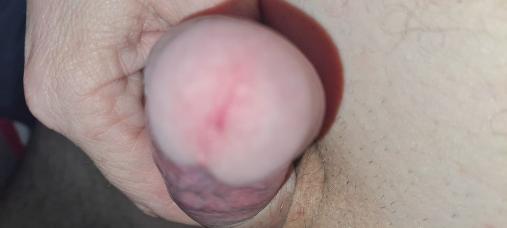 Horny cock #3