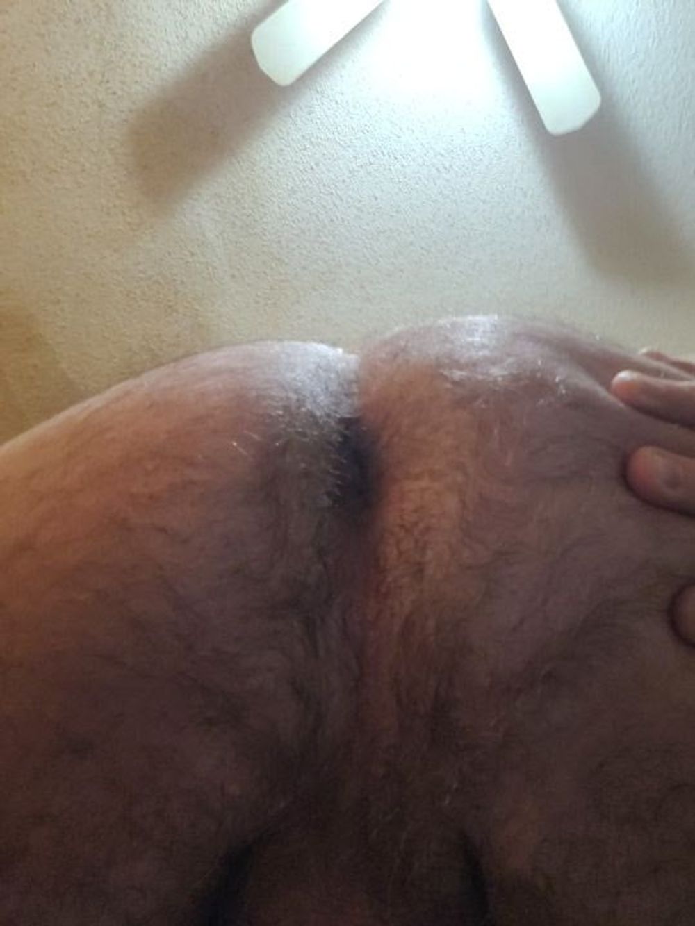 My hairy asshole #5