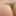 Cock in brown lace thong