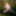 Flashing in the woods Stockings and Suspenders #55