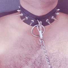 Slave in collar, ready to serve