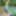 Forcing My Slut Wife Teen Daughter To Crawl In The Forest  #4