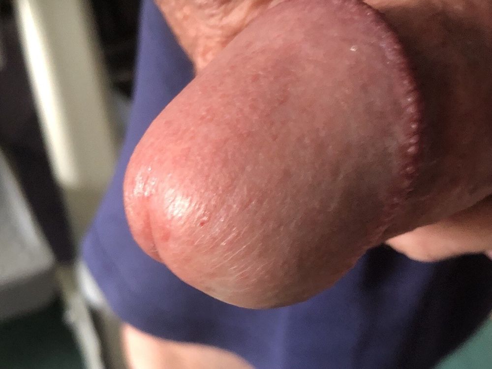 MY STIFF COCK  #15