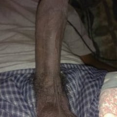 Dick gallery