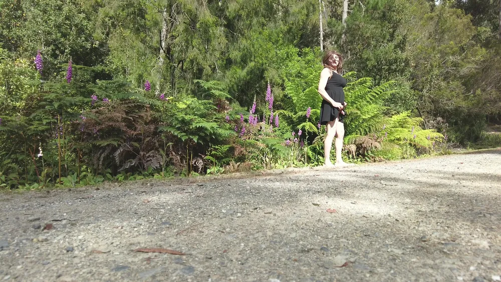 Crossdress Road Trip - Forest Road - Black Dress #11