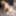 GROOBYCLUB: Nikki Kittens Is The Cat&#039;s Meow! #5