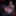 OBEDIENCE PROTOCOL – CYBERNETIC TOY  CREATION #2