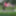 Crossdressing Transvestite Sounding Urethral God Dildo 122 a #6