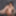 TRANSVR:ダローをまっすぐにアップ!