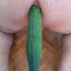 Cucumber