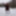 Pregnant flashing naked in the cold snow #55