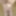 Mai 29th, 2024 Daily duty of the naked slave #7
