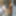 DirtyD69 ebony milf spinner #51
