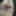 My old gallery 2019-2021 #8
