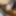 10 inches African BBC cumshot