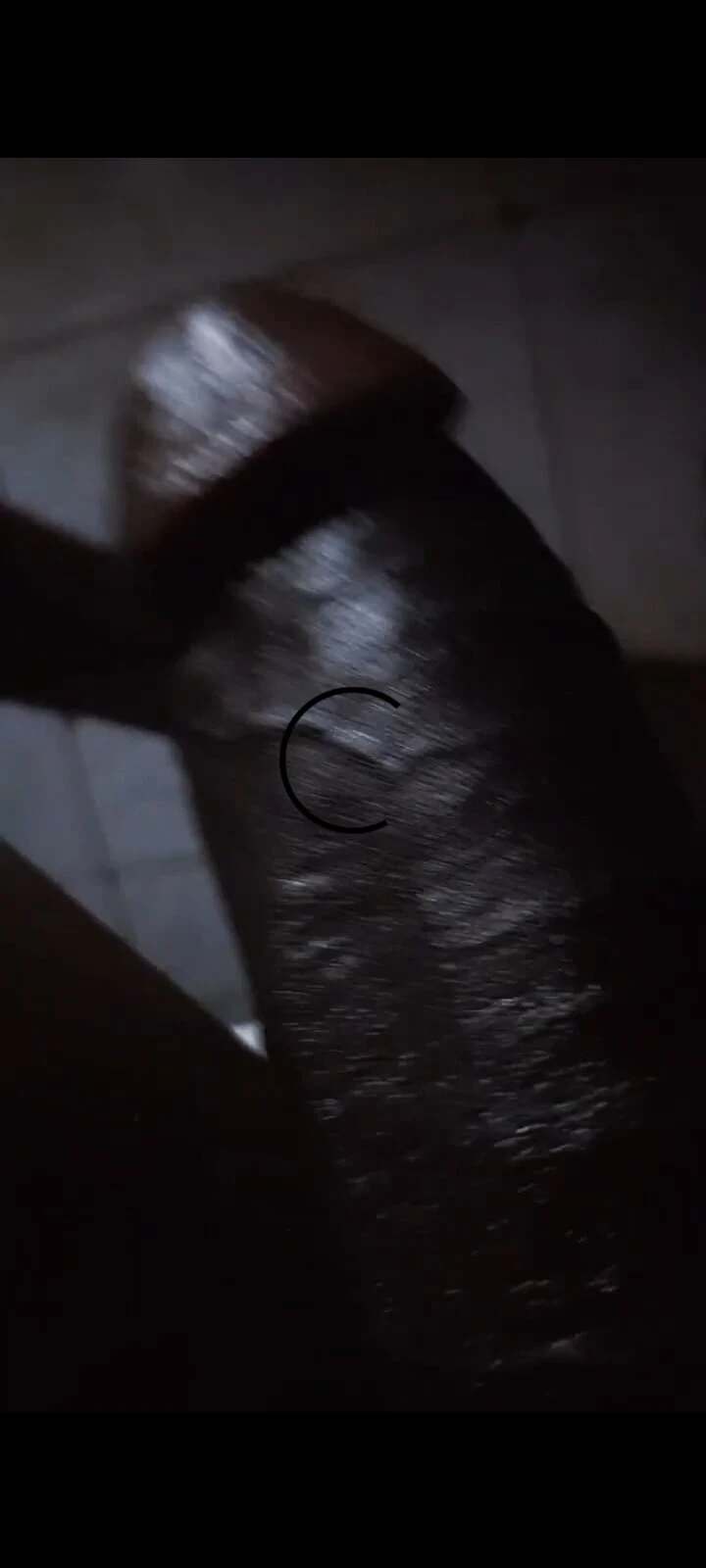 Lonely cock