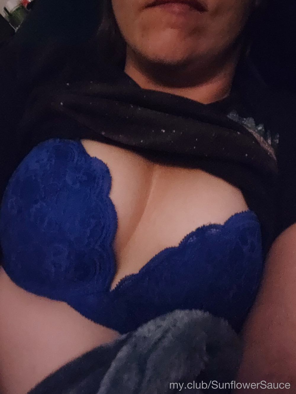 🌻 Sunflower.Sauce  Free Photos #14