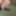 May dick #4