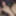 Desi Nude Boy Photo 