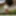 sounding dildo outdoors 1