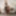 BOBSTGIRLS: Topped By Natalee Skye #2