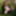 Flashing in the woods Stockings and Suspenders #28