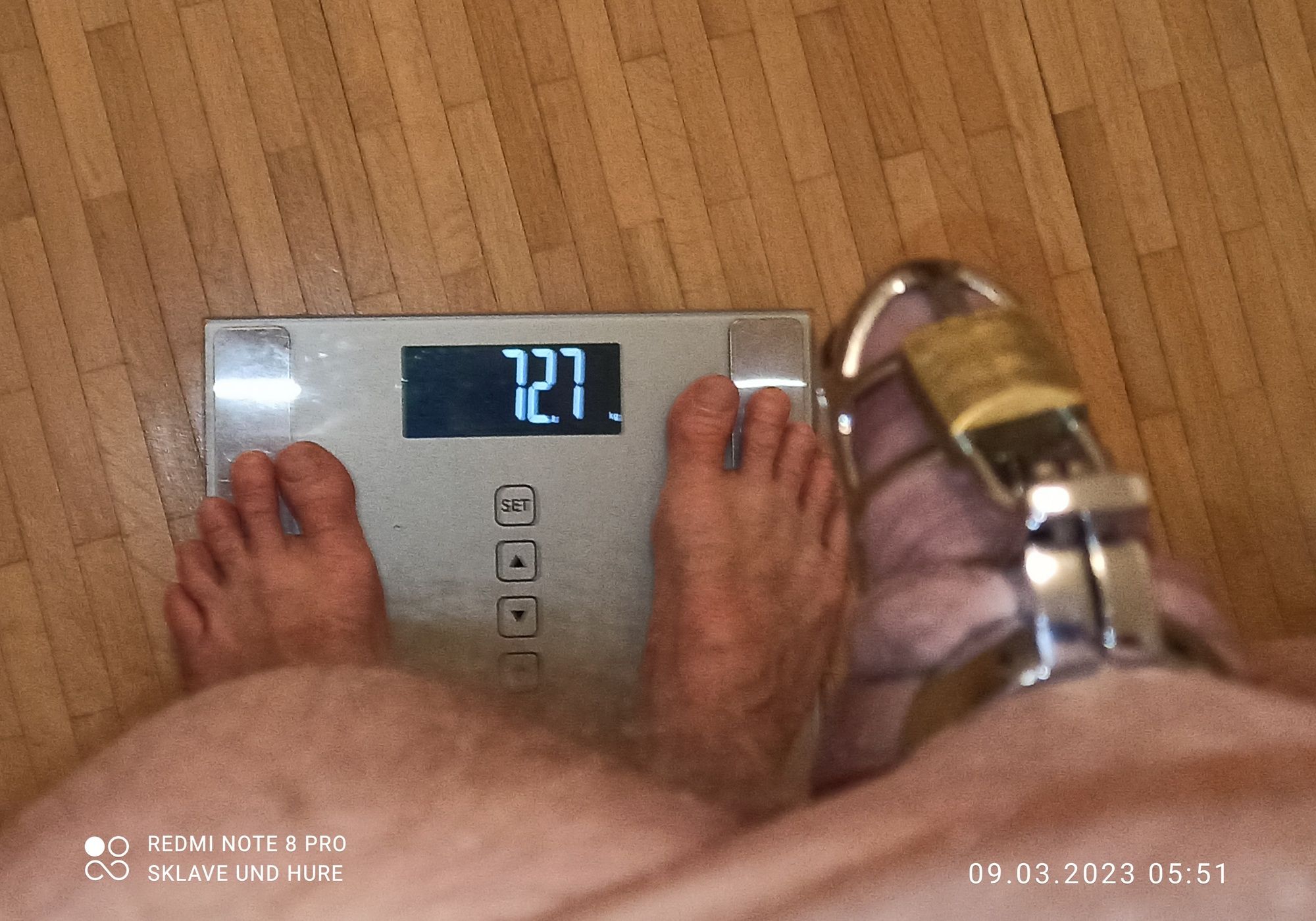 mandatory weighing and cagecheck of 09.03.2023 #8