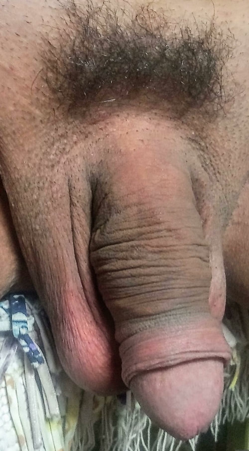 My dick (Flaccid) #7